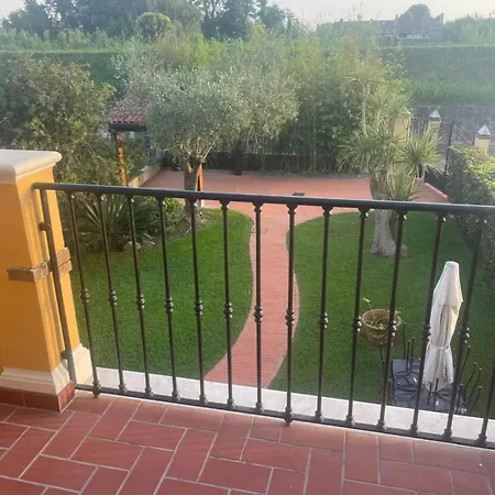Rustica Versilia * Cinquale